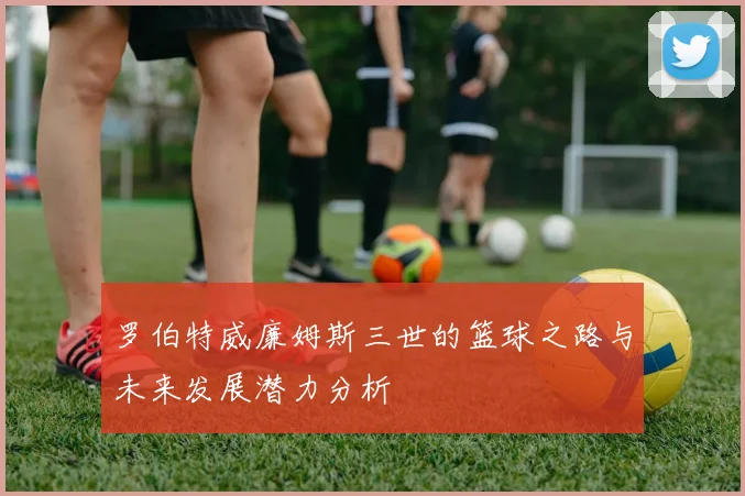 罗伯特威廉姆斯三世的篮球之路与未来发展潜力分析